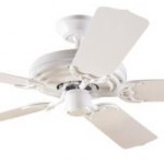 Beat the Heat- Ceiling Fans