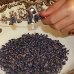 Lavender Eye Pillows
