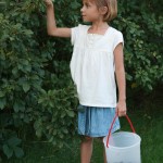 Chokecherries for Free