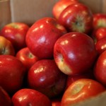 Canning Applesauce