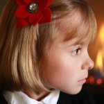 Make it Do Gift: Felt Poinsettia