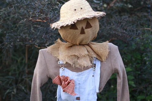 Making A Scarecrow