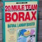 Mighty 20 Mule Team Borax