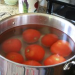 Canning Tomatoes