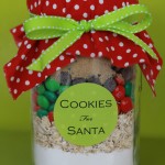 Cookies in a Jar for Santa